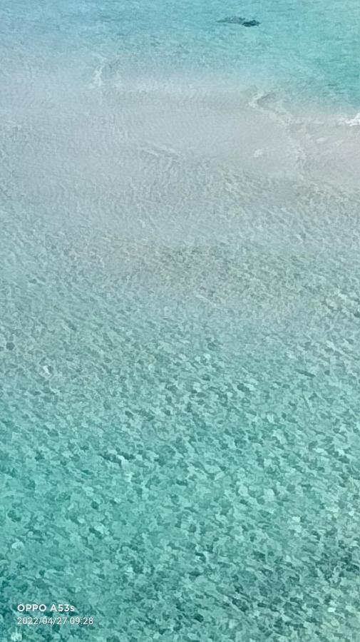 Appartamento Acquario Lido Marini Esterno foto